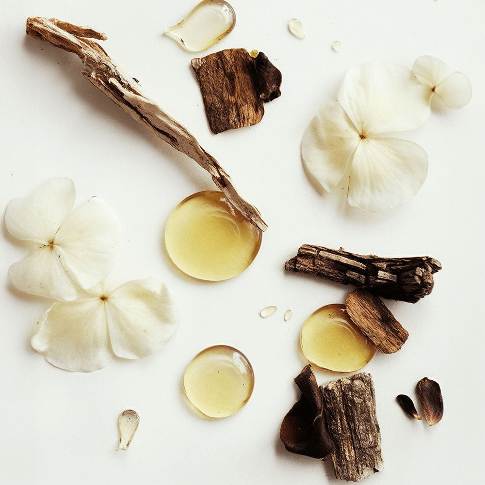 Kindred Hue Whipped Tallow Balm with Vanilla Bean