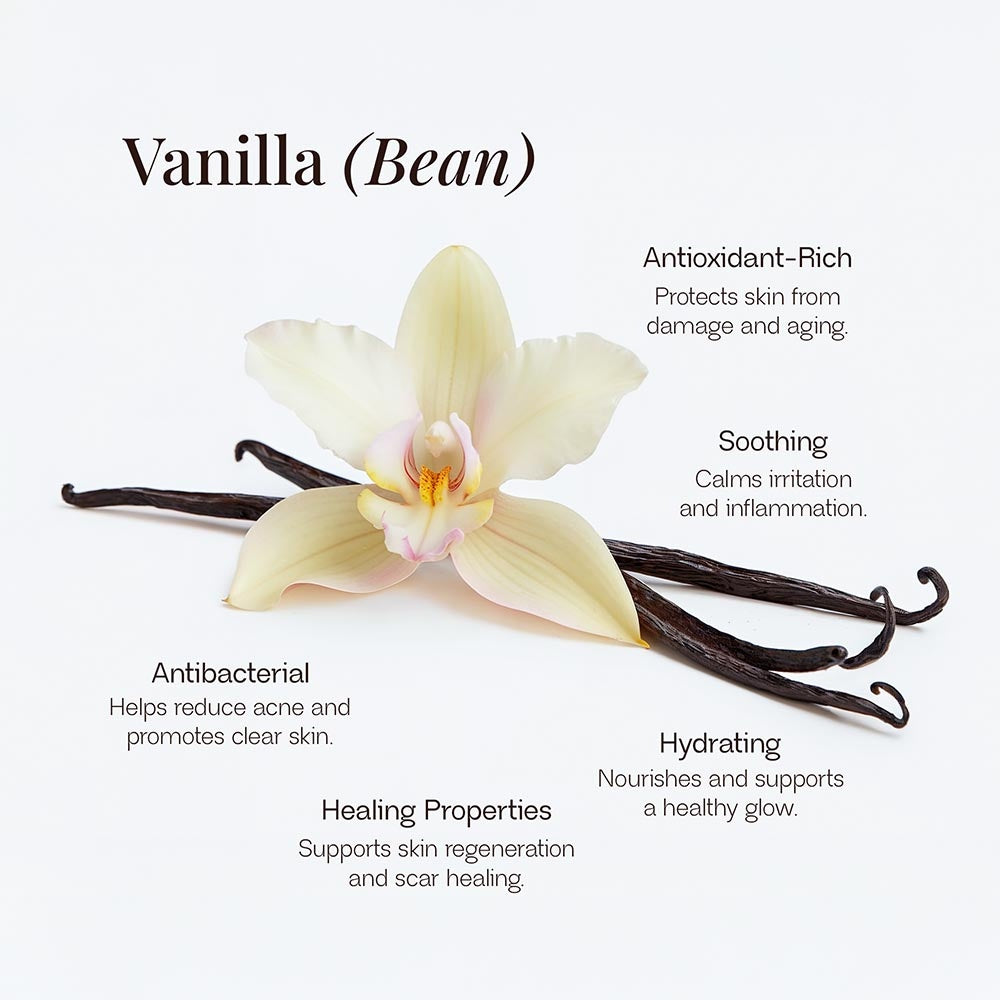 Kindred Hue Whipped Tallow Balm with Vanilla Bean